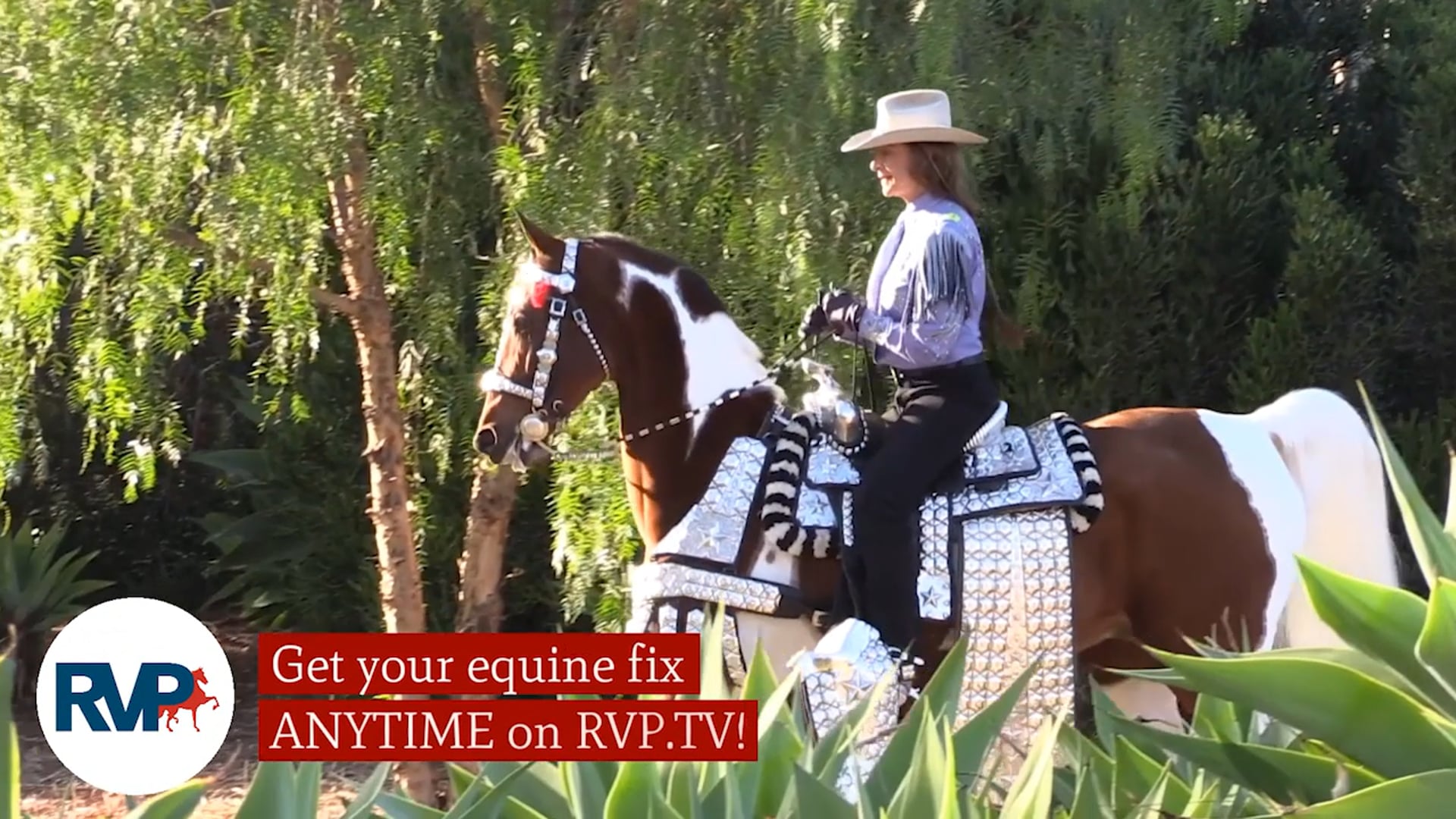 SS21 - Class 86 - CH Lovin’ Louie and Anna Hudson, up