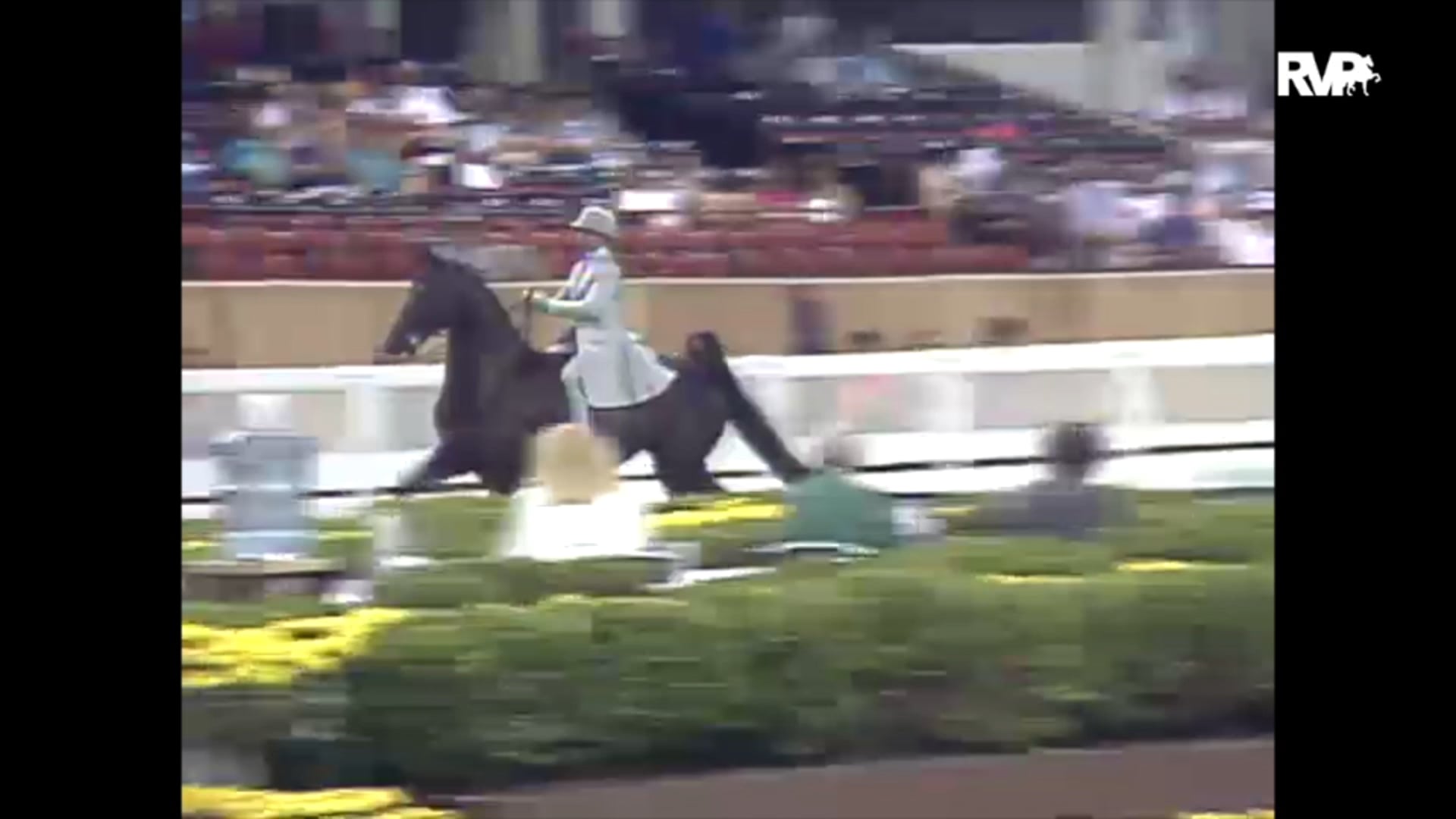 1989 WCHS Class 90 Three Gaited Pony Rider 13 & Under