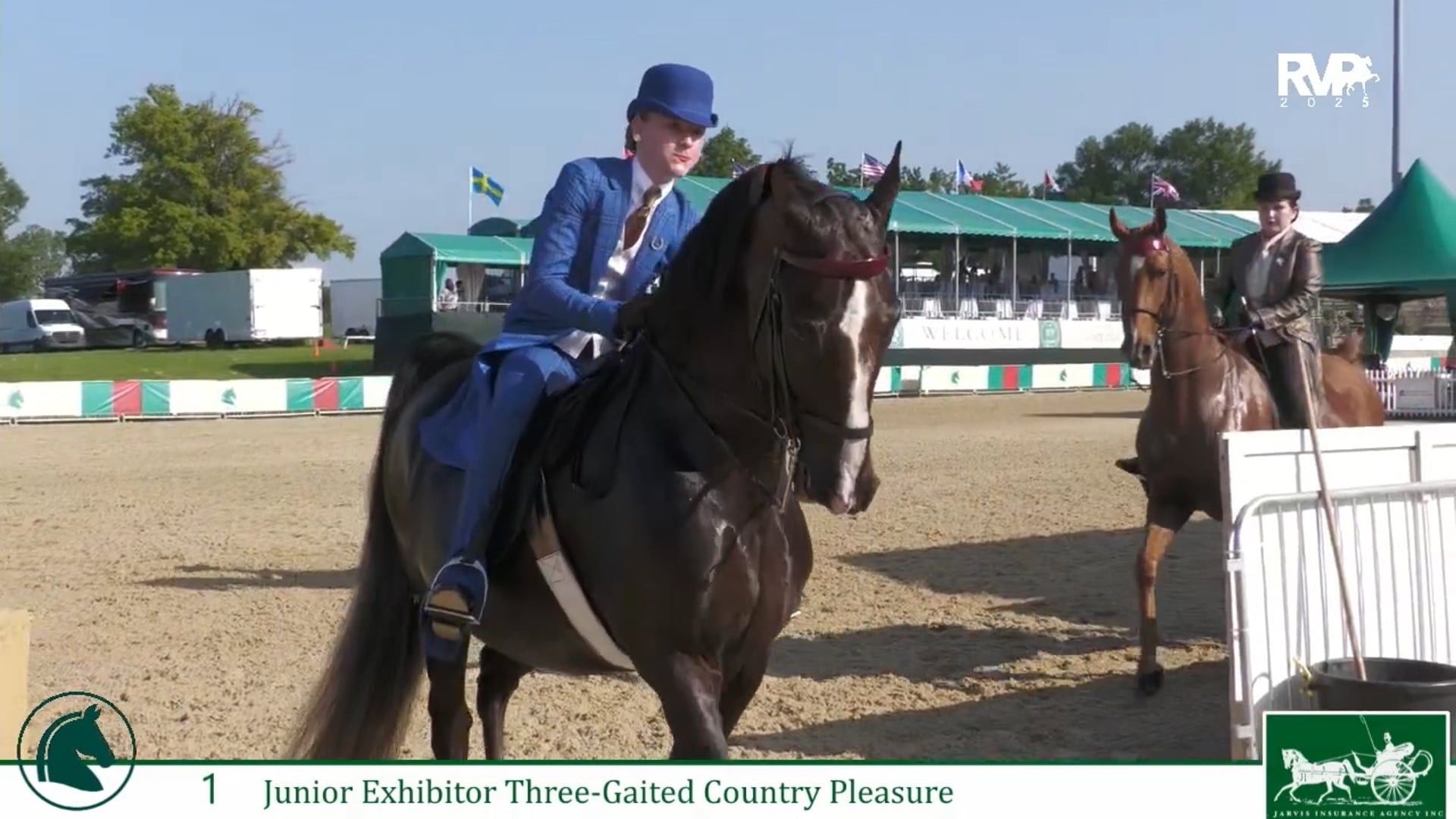 LJL25 - Class 1 - CH Roselane's Town Topic and Emma Cooper, Up