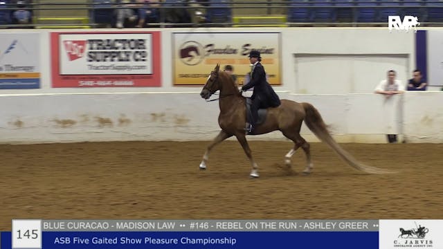 BB22 - Class 145 -  ASB Five Gaited S...