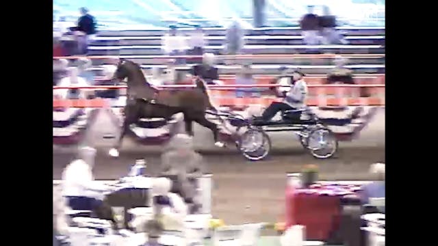 1997 Wisconsin Futurity - Junior Fine...