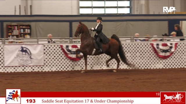 AAC24 - Class 193 - Saddle Seat Equit...