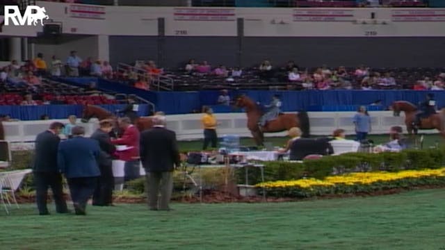 2004 World's Championship Horse Show ...