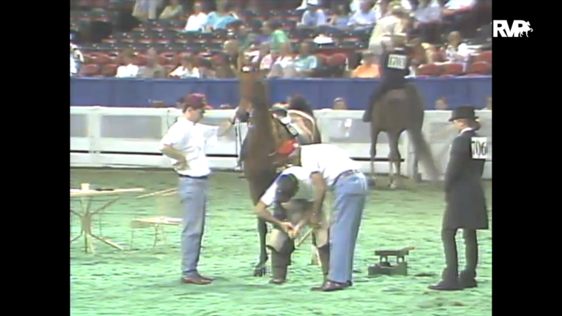 1993 WCHS Class 162 Junior Equitation Championship Rider 13 & Under