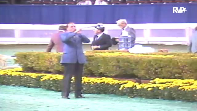 1992 WCHS Class 155 ASHA Equitation M...
