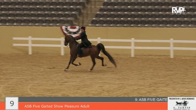 KYFC22 - Class 9 - ASB Five Gaited Sh...