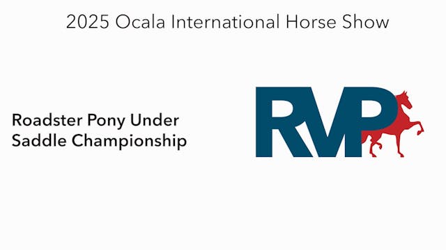 OI25 - Class 129 -  Roadster Pony Und...