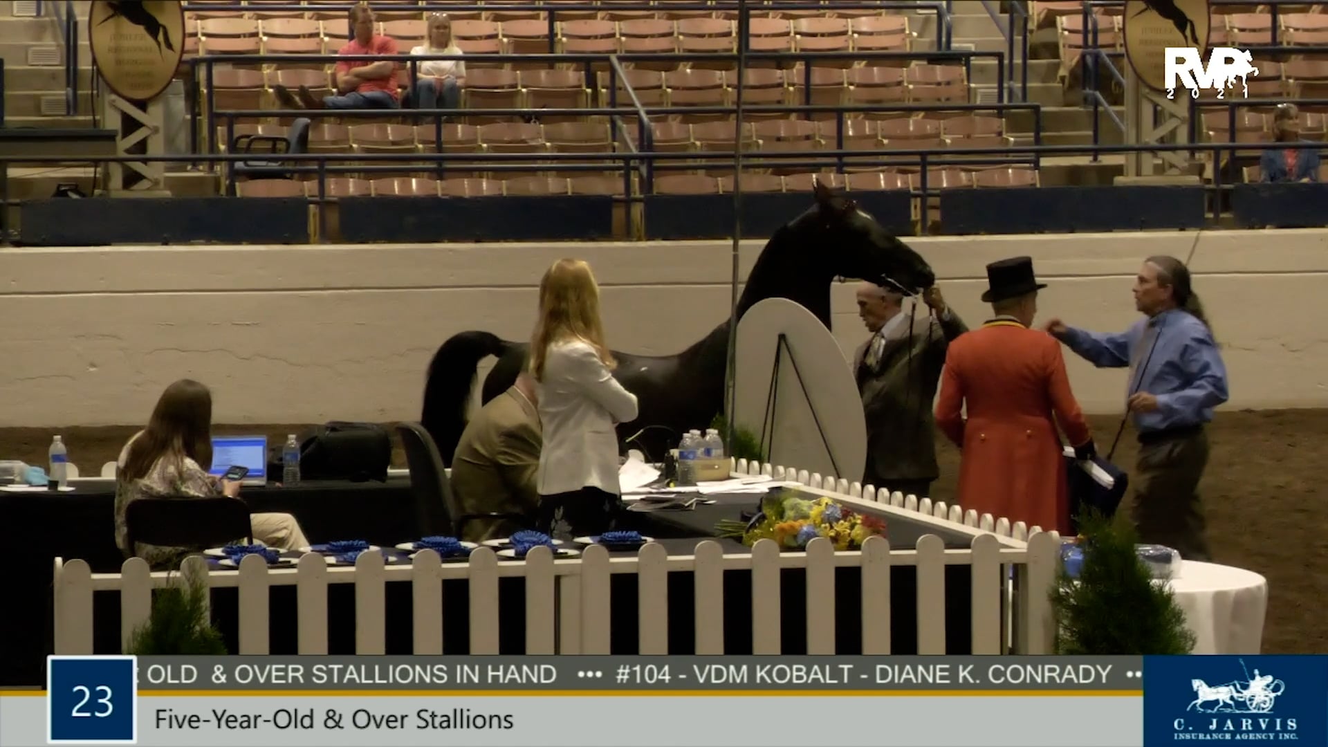 MJ21 - Class 24 - Senior Champion Stallion