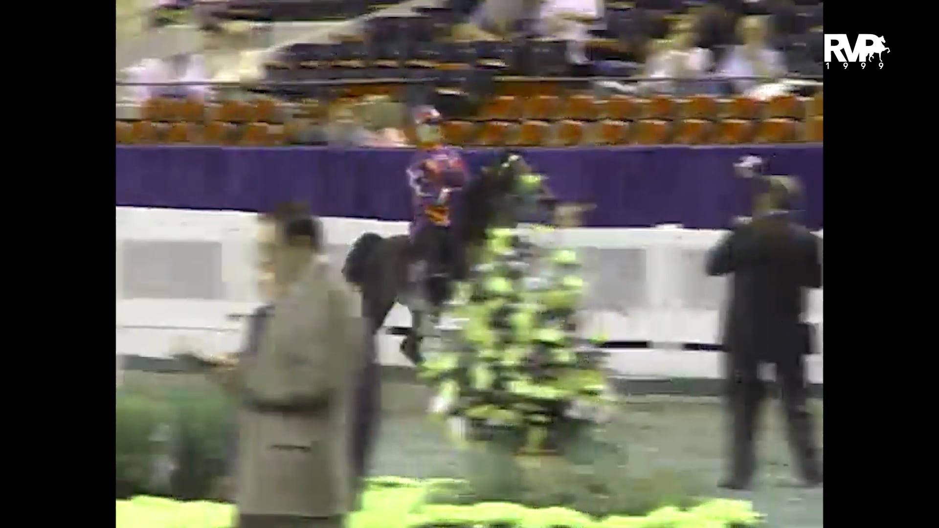 1999 WCHS - Class 184 Roadster Pony Under Saddle Junior Exhibitor