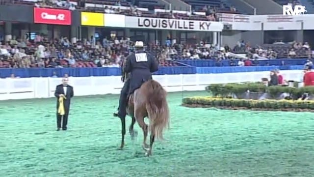2010 World's Championship Horse Show ...