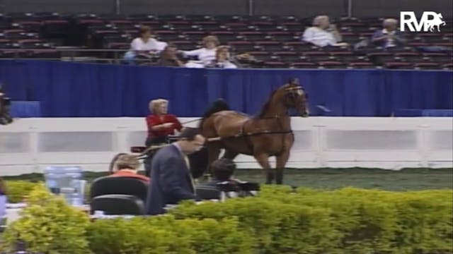 2007 WCHS Class 64 ASB Adult Show Ple...