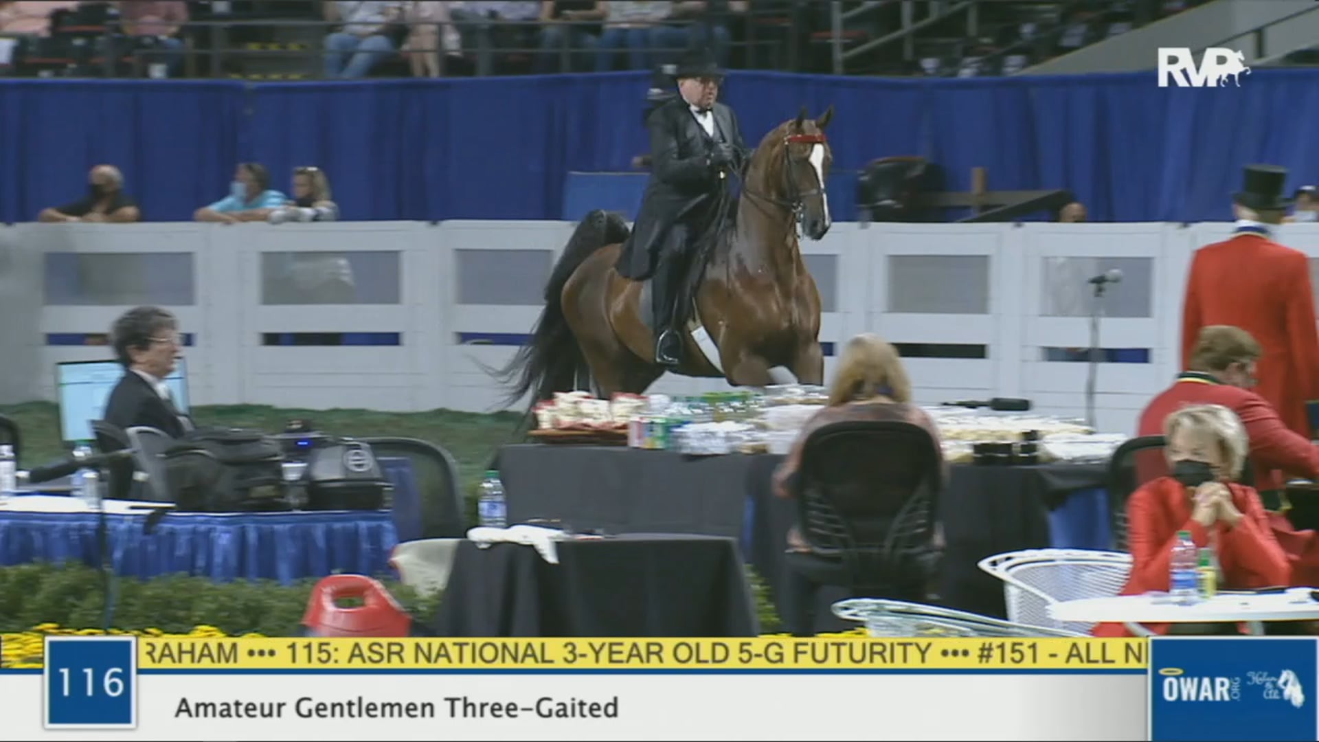 WCHS 2020 Class 116 - Amateur Gentlemen Three-Gaited