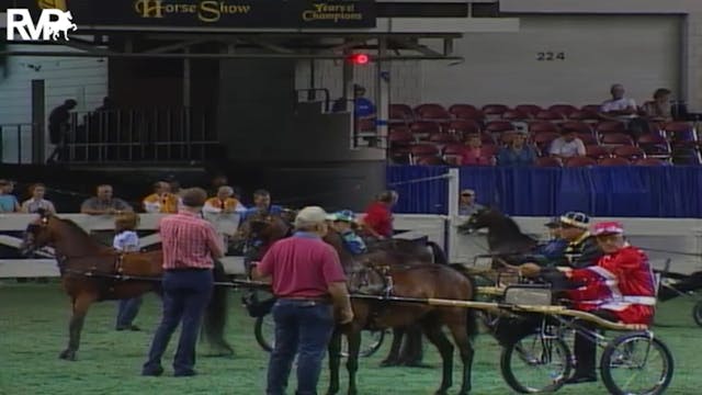 2004 World's Championship Horse Show ...