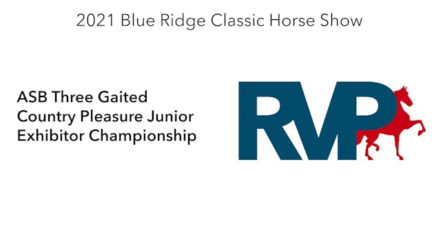 BR21 - Class 178 - ASB Three Gaited C...