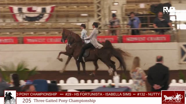 MW25 - Class 205 - Three Gaited Pony ...