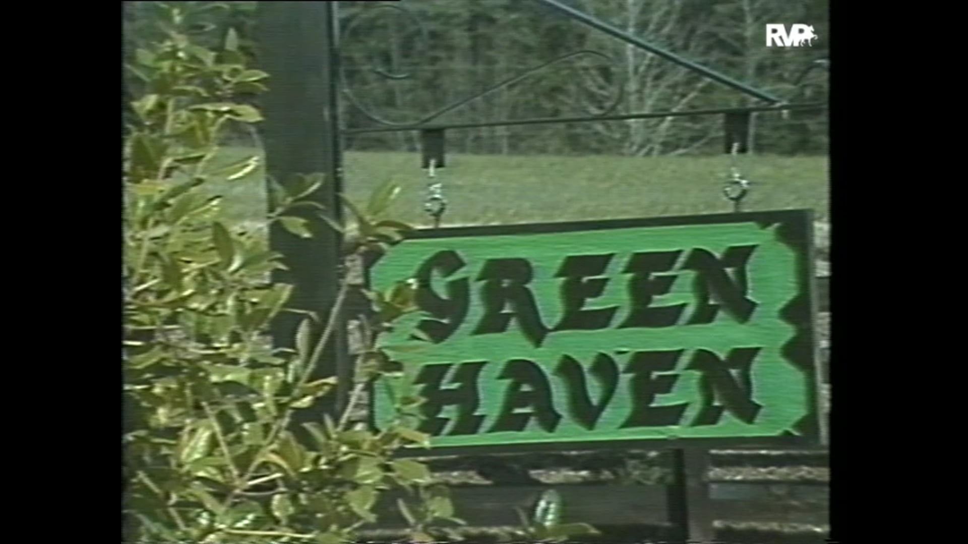 Looking Back on 
1992 A Visit with the Greenburg's at Green Haven Farm with their 
Trainers Phyllis and Don Brookshire