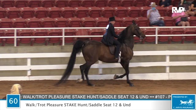 2020 ASF - Class 60 Walk:Trot Pleasur...
