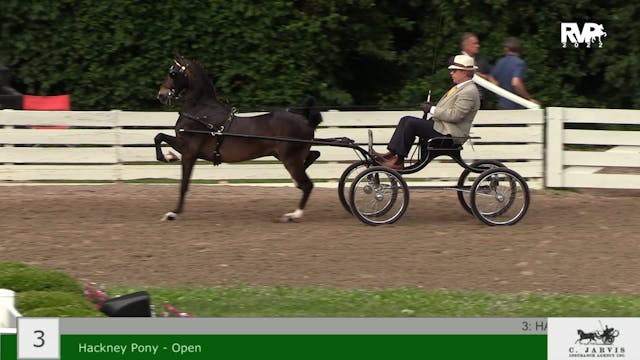 RC22 - Class 3 - Hackney Pony Open