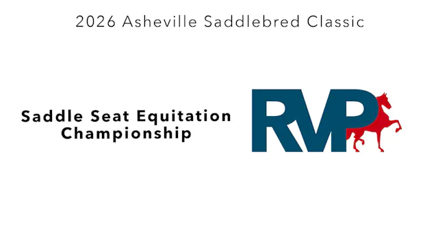 ASC26 - Class 138 - Saddle Seat Equit...