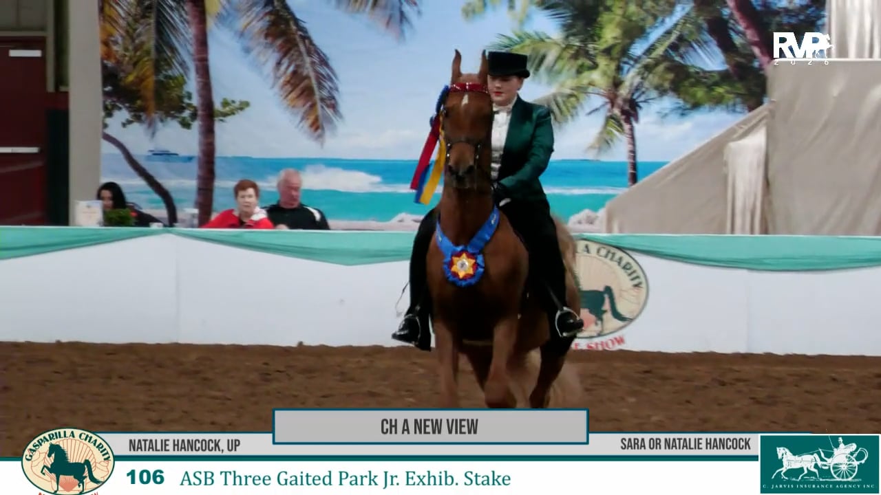 2026 Gasparilla Charity Horse Show - Friday Evening