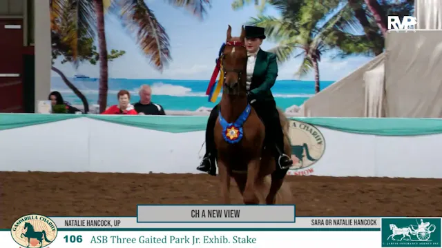 2026 Gasparilla Charity Horse Show - ...