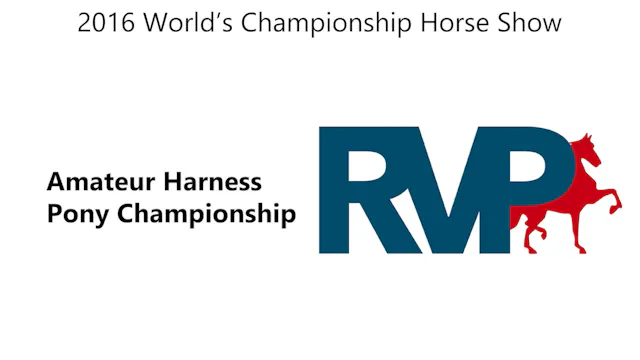 WCHS16 - Class 201 - Amateur Harness ...