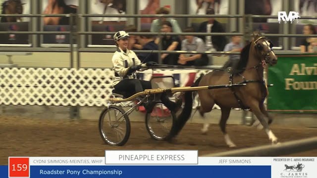 AAC22 - Class 159 -  Pineapple Expres...
