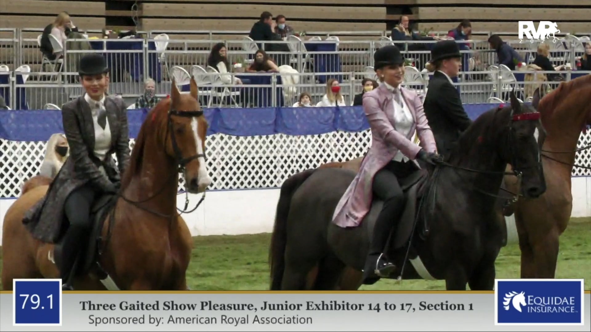 2020 AR - Class 79.1 Three Gaited Show Pleasure
Junior Exhibitor 14-17 Section 1