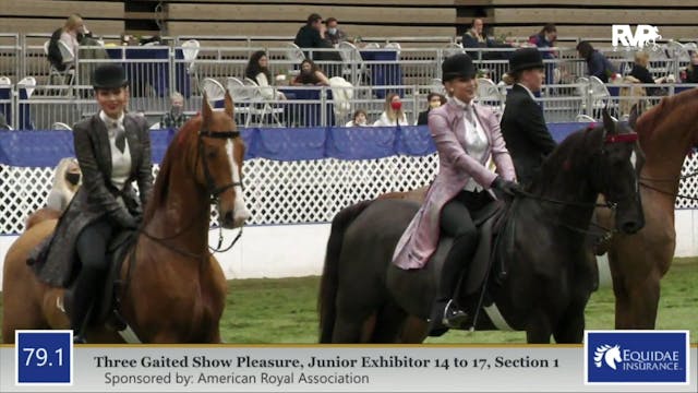 2020 AR - Class 79.1 Three Gaited Sho...