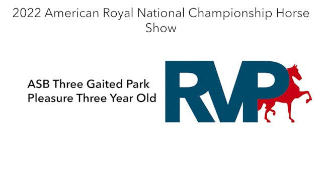 AR22 - Class 6 - ASB Three Gaited Par...