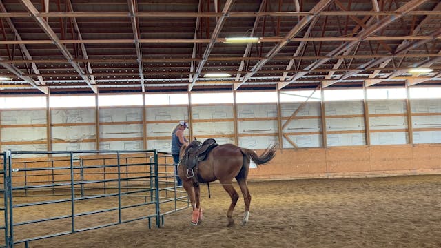 A ride on Boomer 6/7/23