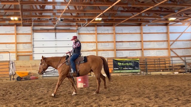 Leg Yields and Lateral Work