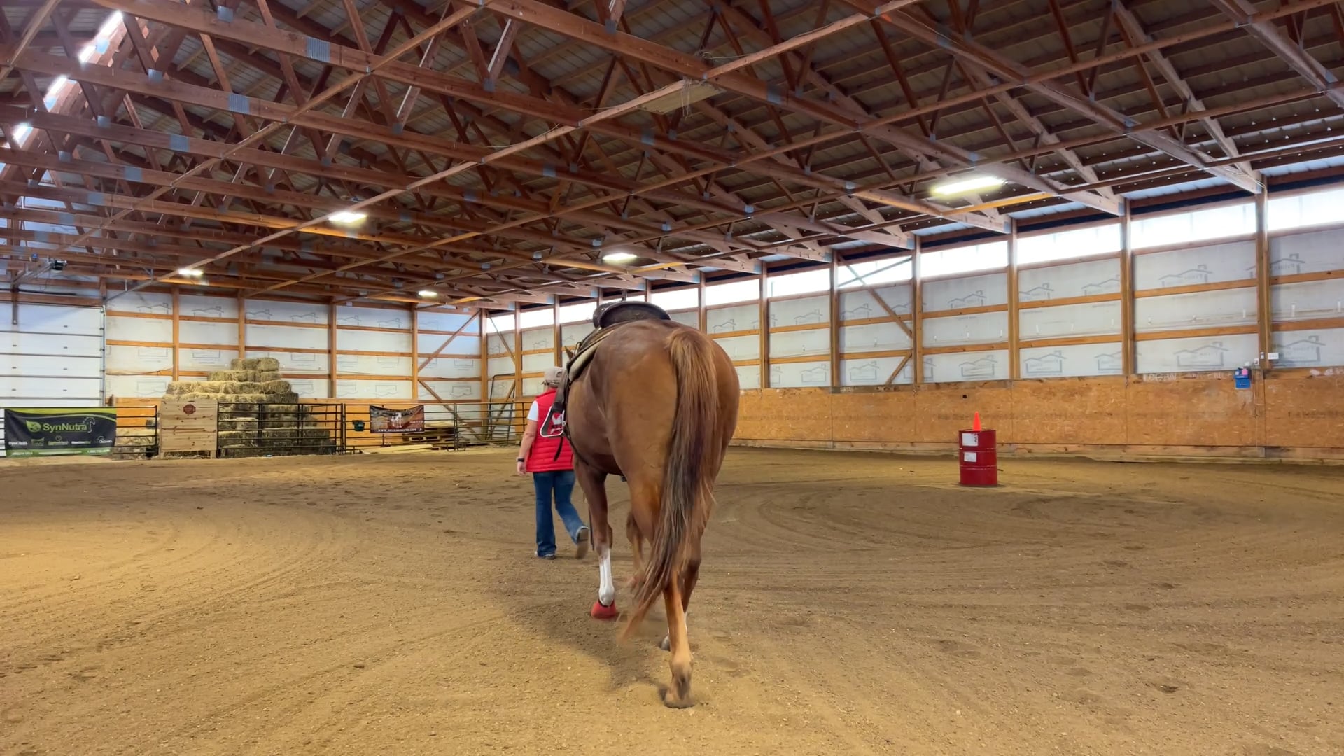 Boomer Day 13, 10/14/2023