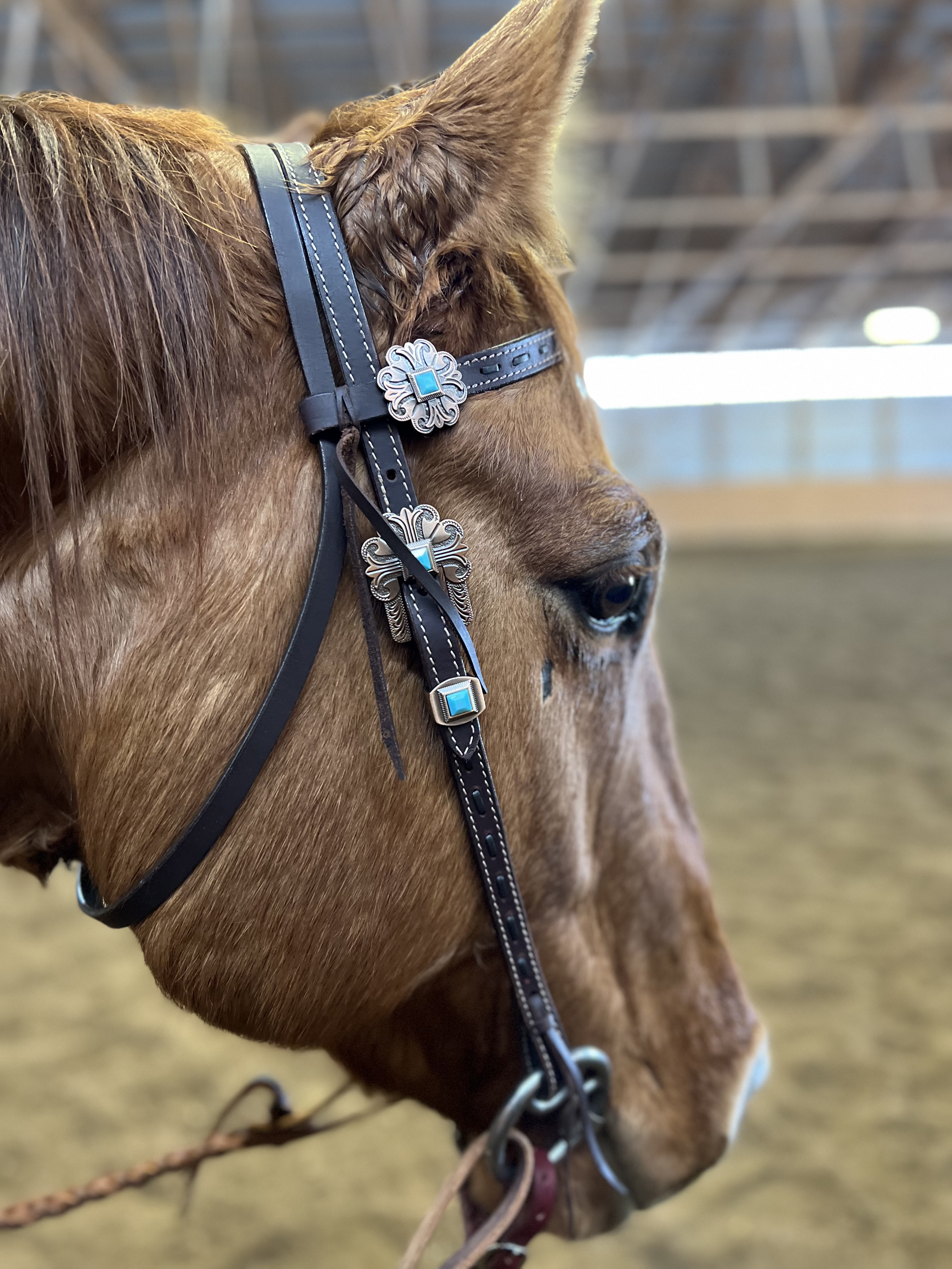 Issimo, 2015 Red Dun Gelding by WDX Nukem out of Ibaflitnbird