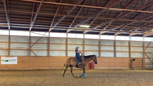 July 8 - First Barrel, speed control ...