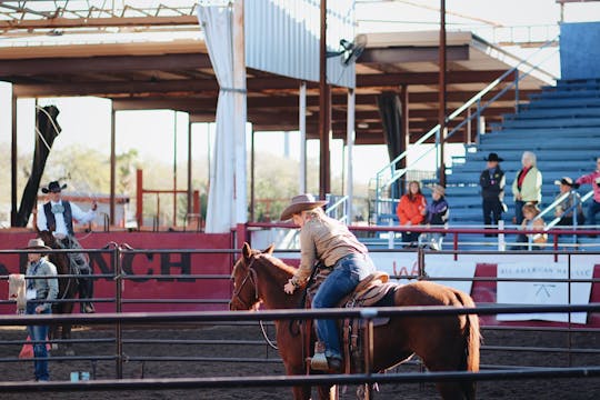 Horsemanship 101