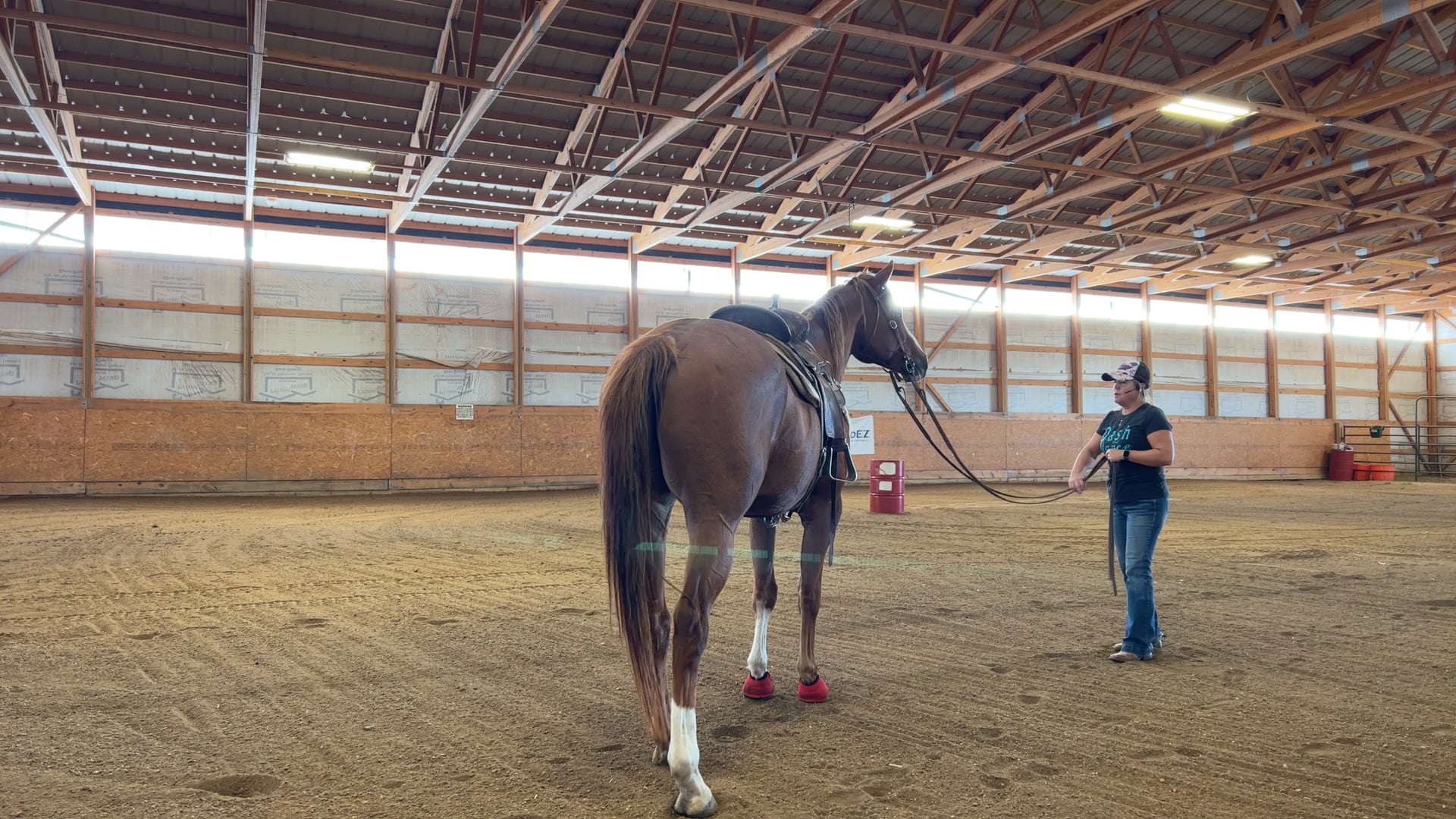 Boomer Day 14 (10/16/23)