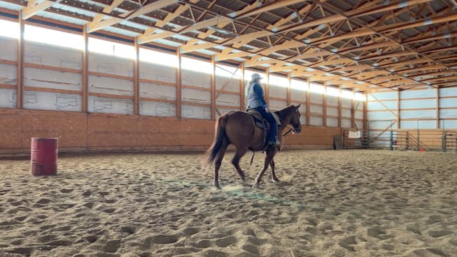 Riding the Trot: Sitting