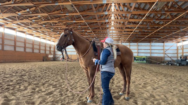 Equitation: How to Properly Sit on a Horse