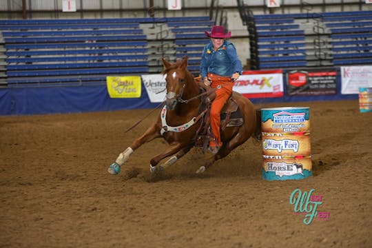 Riding and Conditioning the Barrel Horse