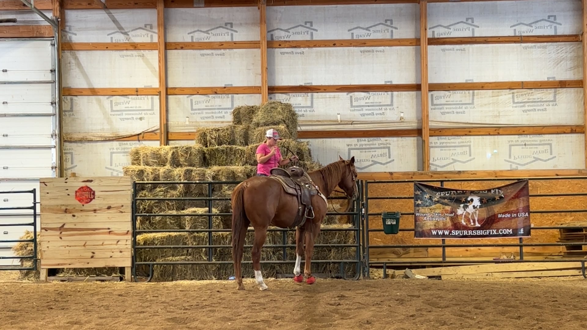 Boomer, Day 12 on the barrels 10/10/2023