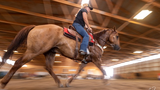 Building Lateral Softness in the Horse