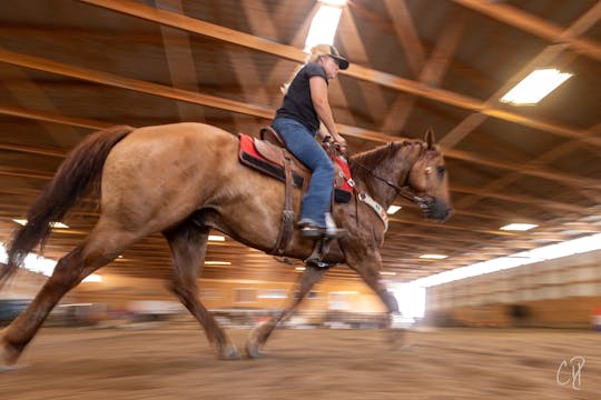 Building Lateral Softness in the Horse