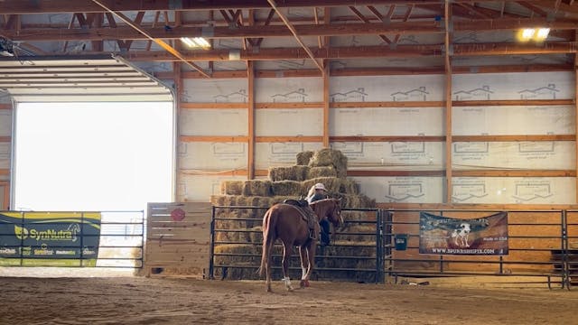 Boomer, 10/17/23, Day 15 and The 4 Ba...
