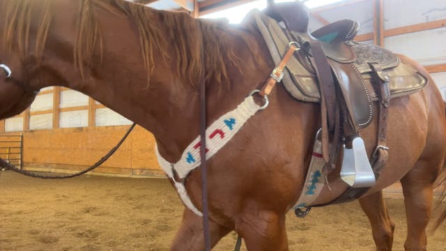 Boomer, Day 6 on the barrels 9/19/202...