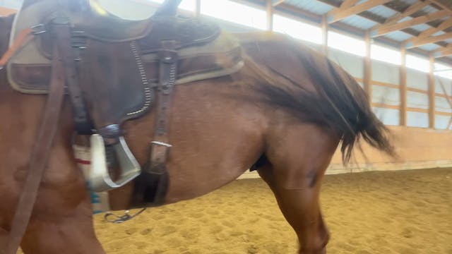 Boomer, Day 6 on the barrels, Part 1.