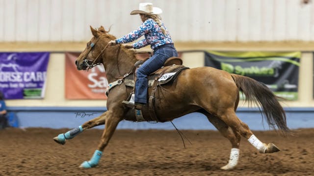 Horse Behavior - Learning Body Language