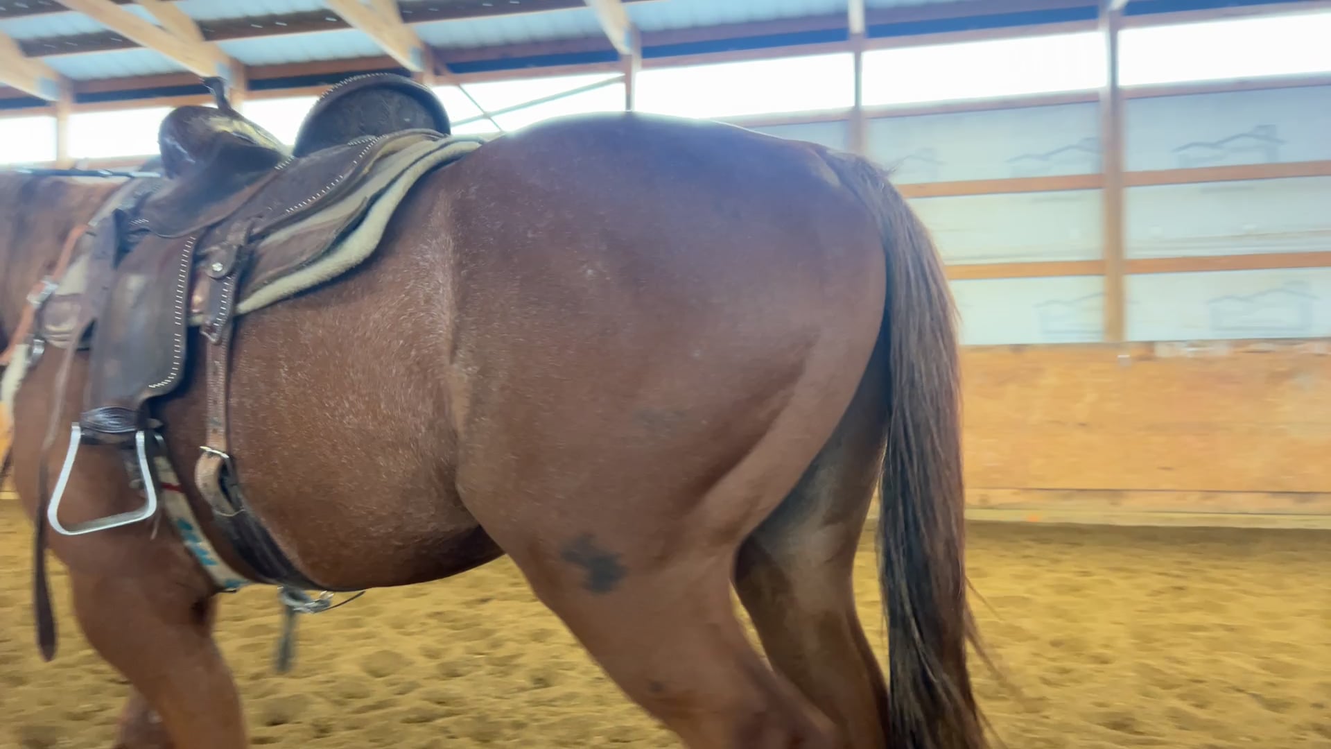 Day 11, Boomer on the Barrels, 10/6/2023