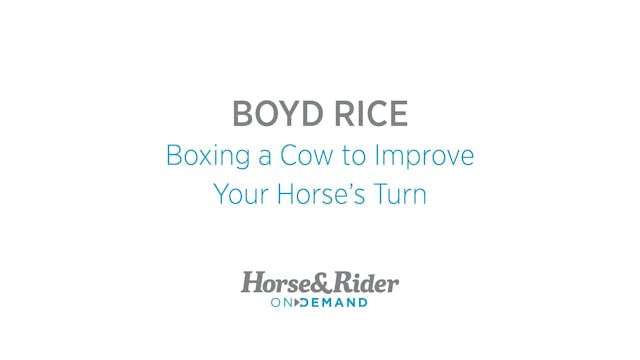 Boxing a Cow to Improve Your Horse’s ...