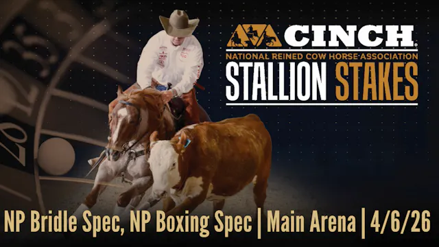 NP Bridle Spec, NP Boxing Spec | Main...
